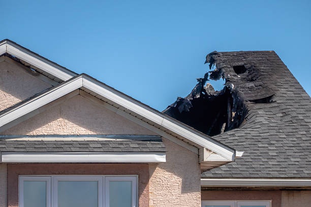 Top rated local Fire Damage Removal specialists in Conroe, TX